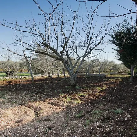 Trullo Green * Putignano
